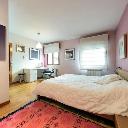 Duplex En El Centro Oviedo